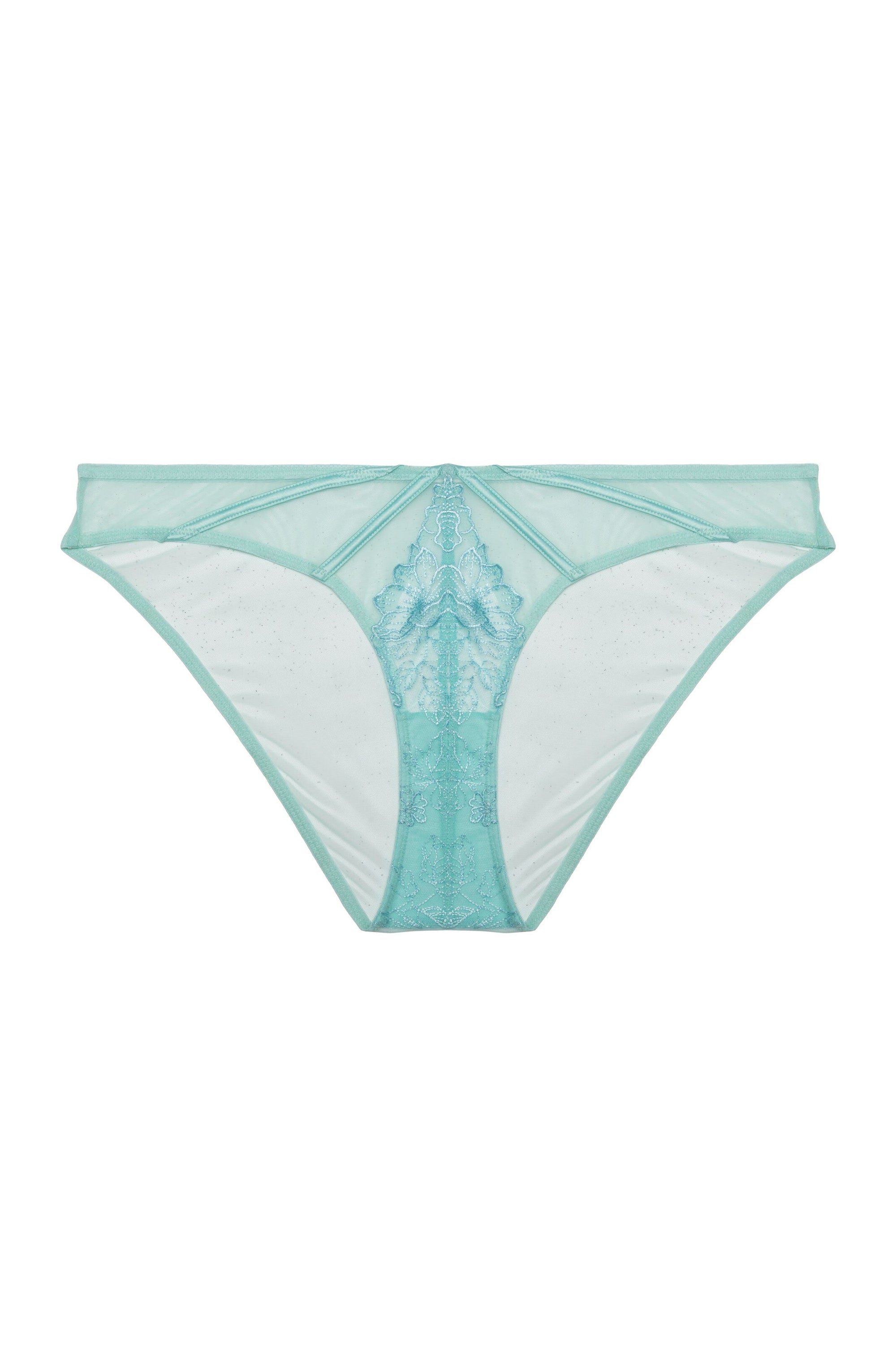 Valerie Aqua Embroidery & Mesh Brief