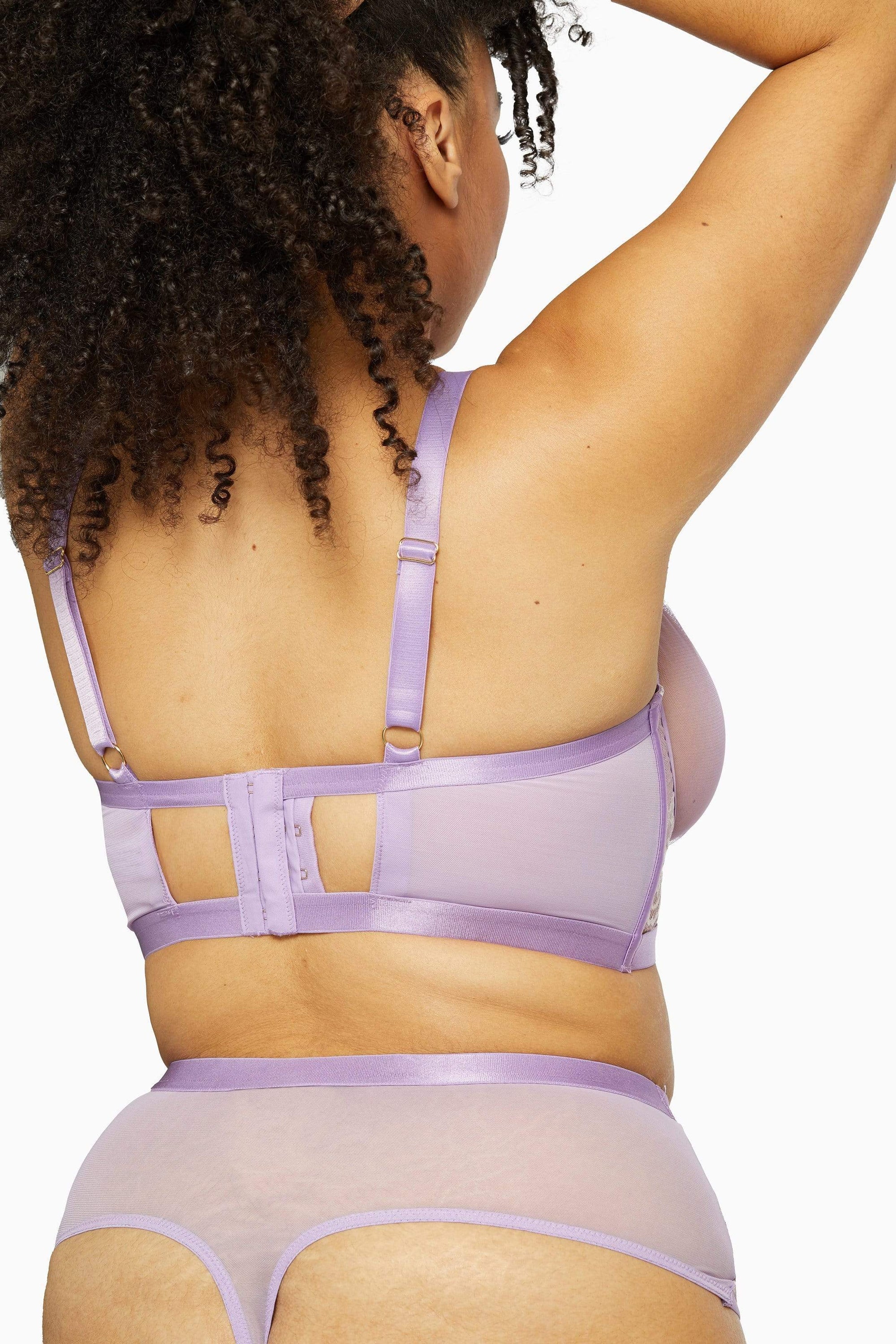 Fenella Lace and Net High Waist Brief Curve