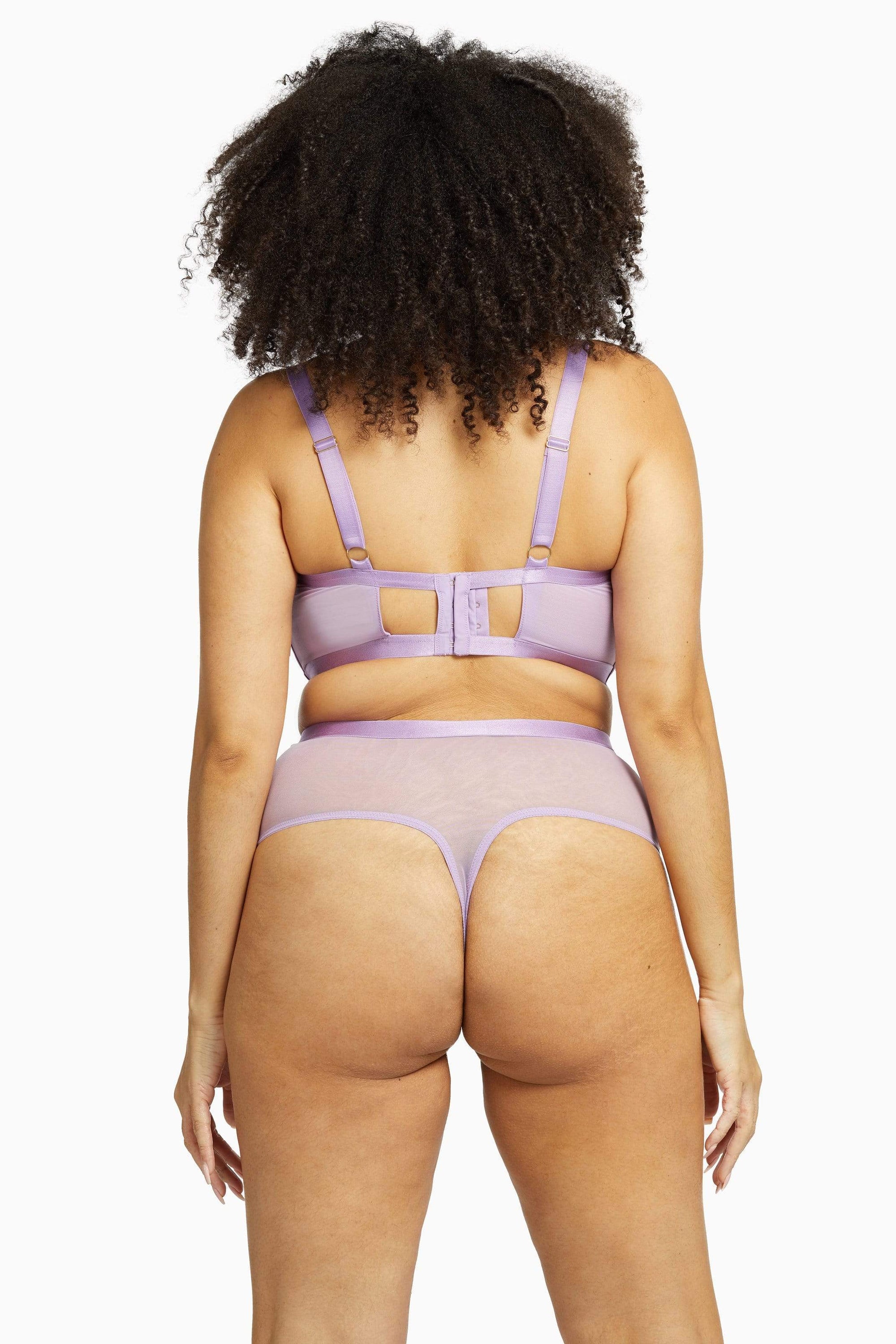 Fenella Lace and Net High Waist Brief Curve